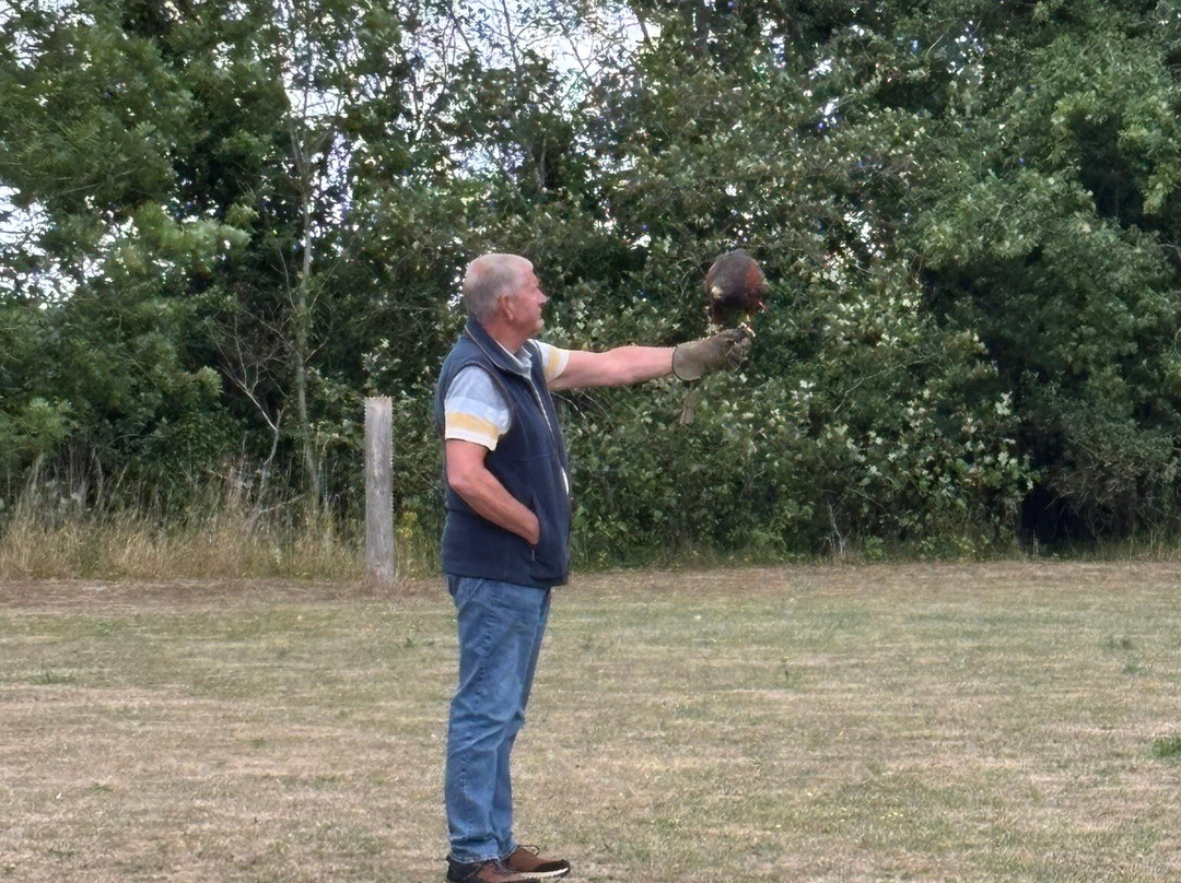 Fens Falconry-Wisbech必去景点
