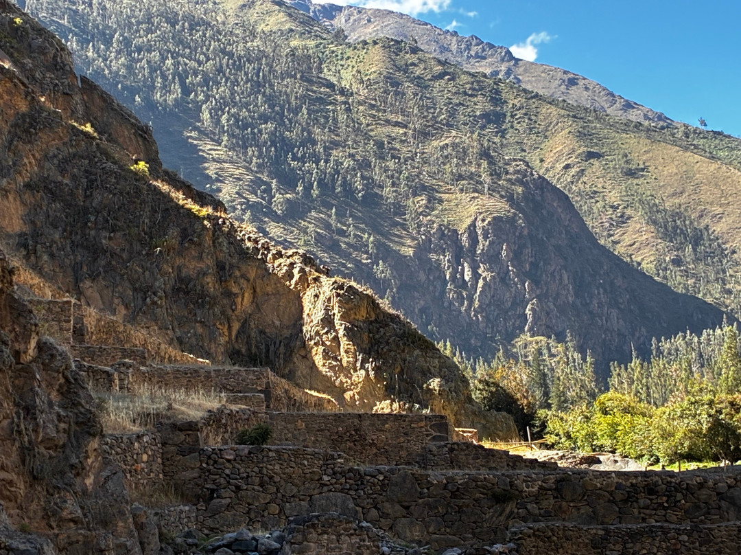 FLAMINGO TOURS PERU-阿雷基帕必去景点