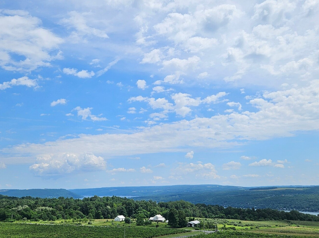 Heron Hill Winery-Hammondsport必去景点