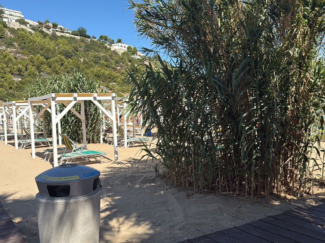 Spiaggia Di Procinisco - Peschici-佩斯基奇必去景点
