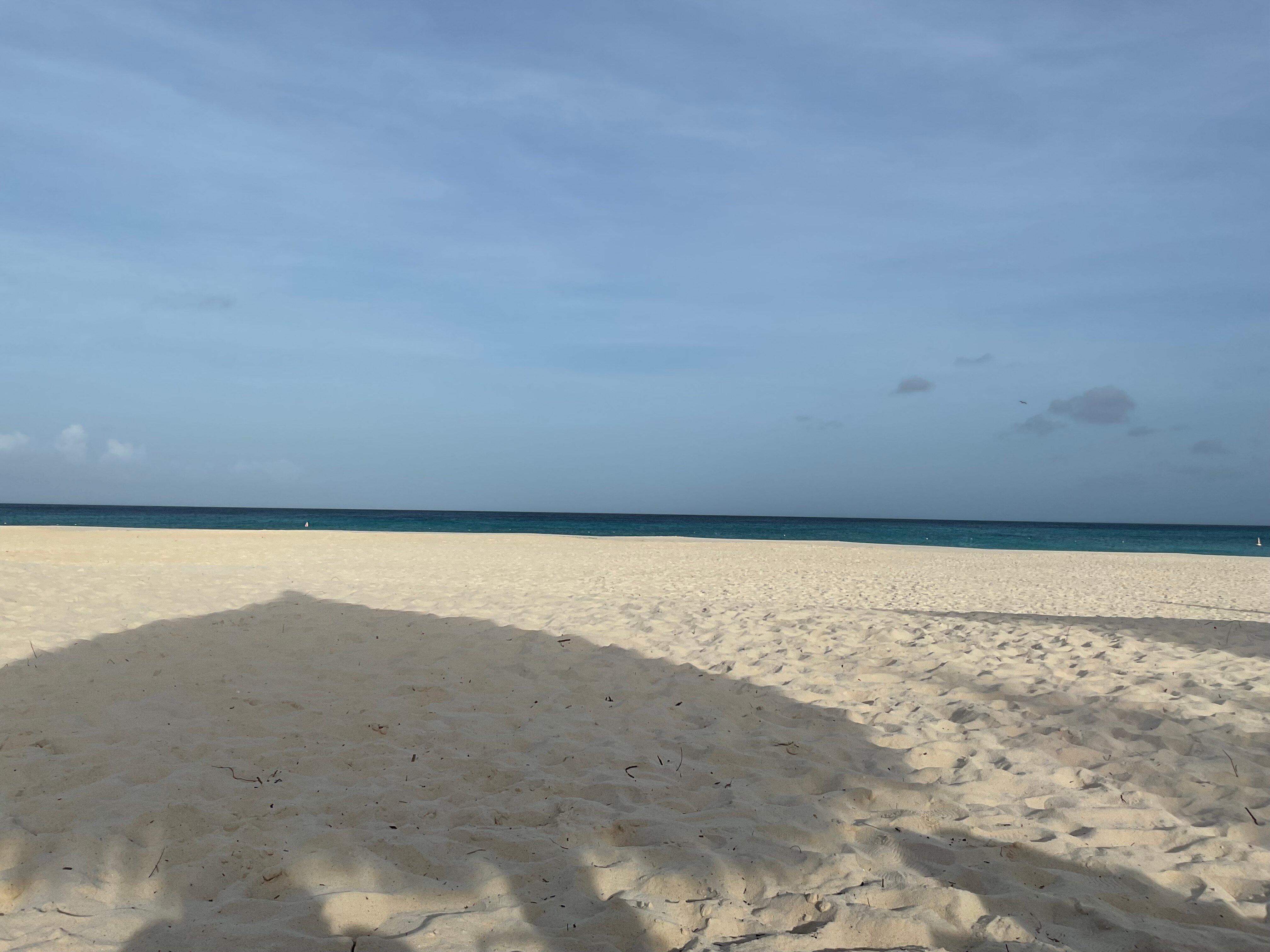 Manchebo Beach Resort & Spa-泳池