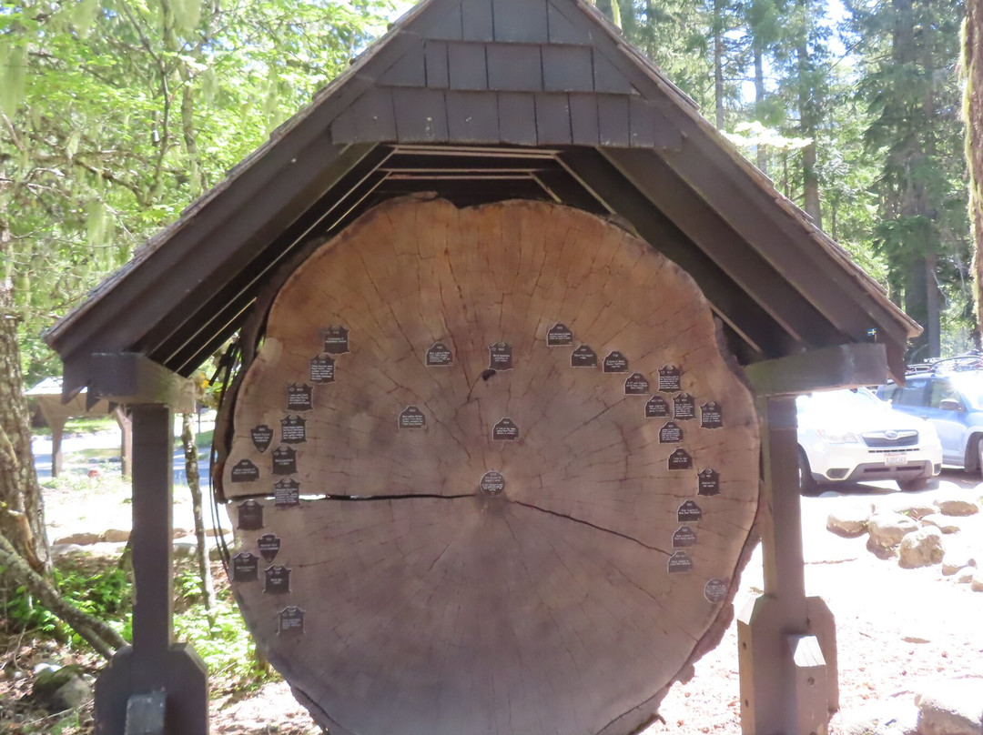 Longmire Museum-Longmire必去景点