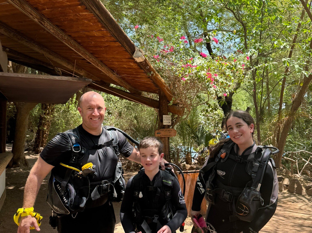 海豚礁-埃拉特必去景点