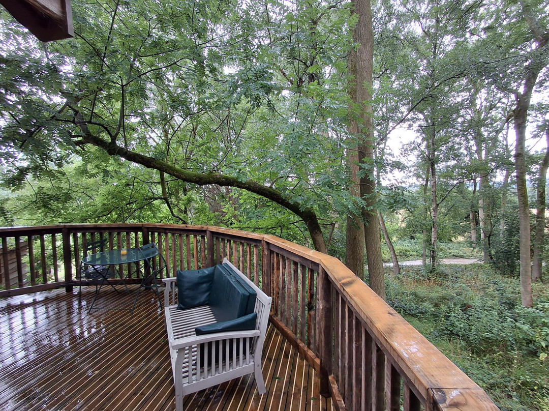 Wildhive Callow Hall主图