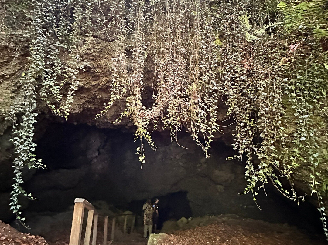 Birresborner Eishoehlen-Birresborn必去景点