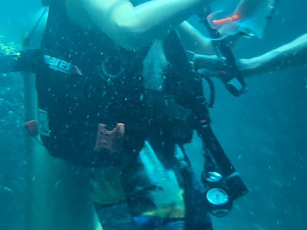 The Homestead Crater-Midway必去景点