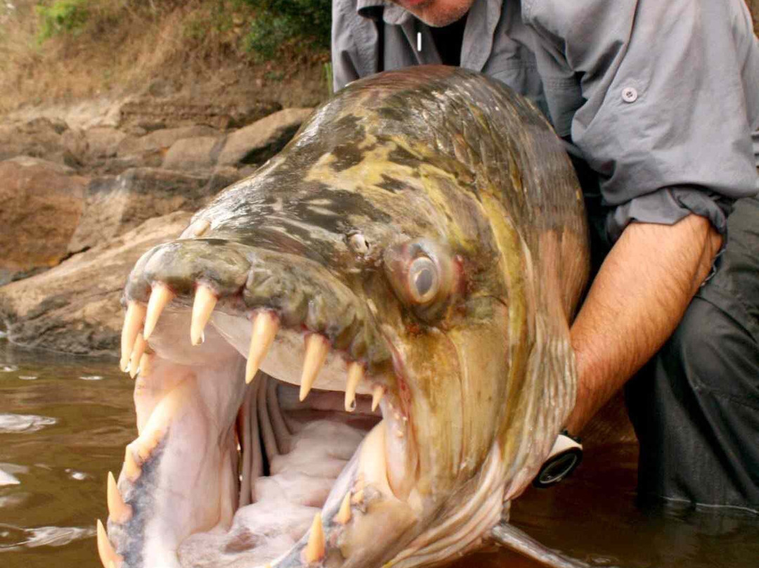 Mossbystrand beach-Abbekas必去景点