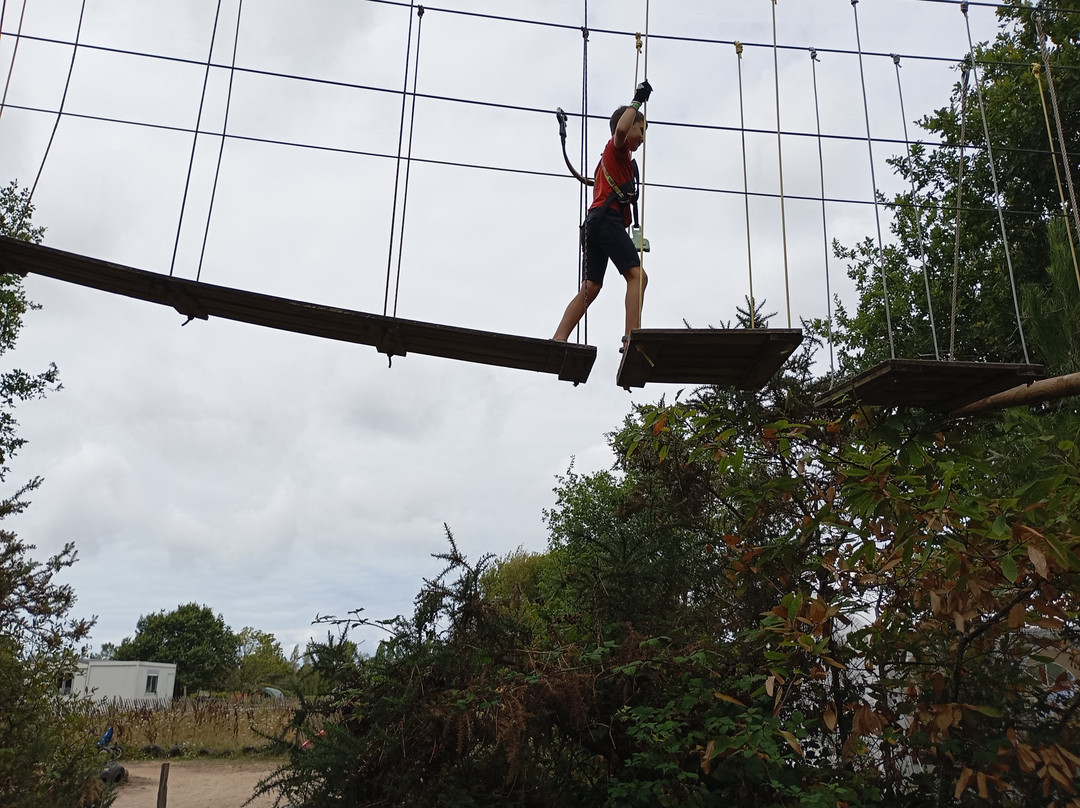 Monkey Forest-Saint-Molf必去景点