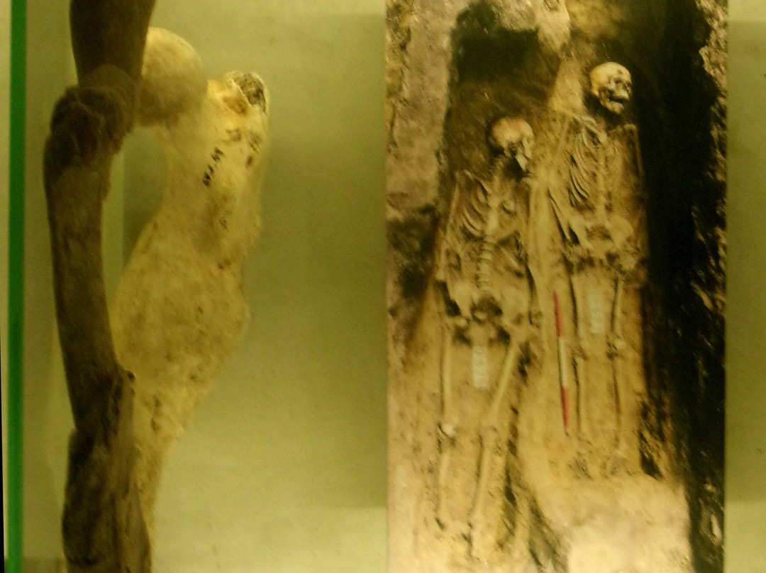 Ossuary at the Church of St James-布尔诺必去景点