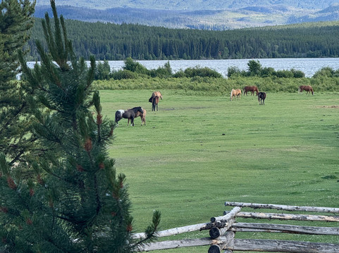 Terra Nostra Guest Ranch主图