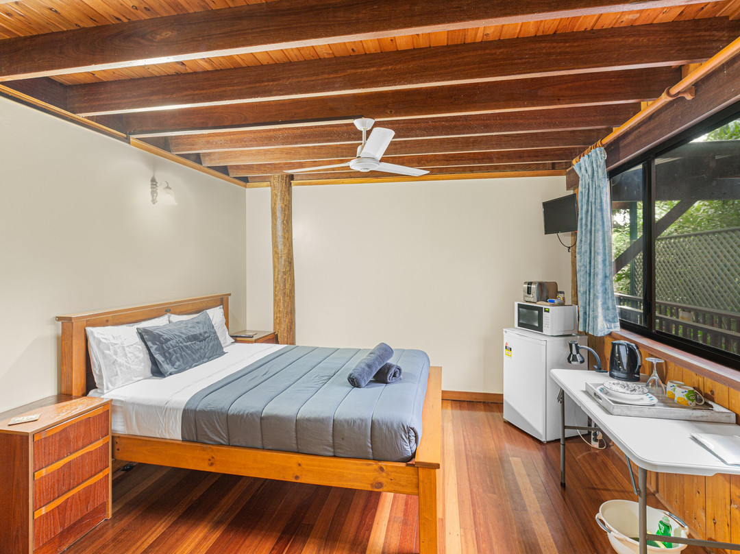 Atherton Blue Gum主图