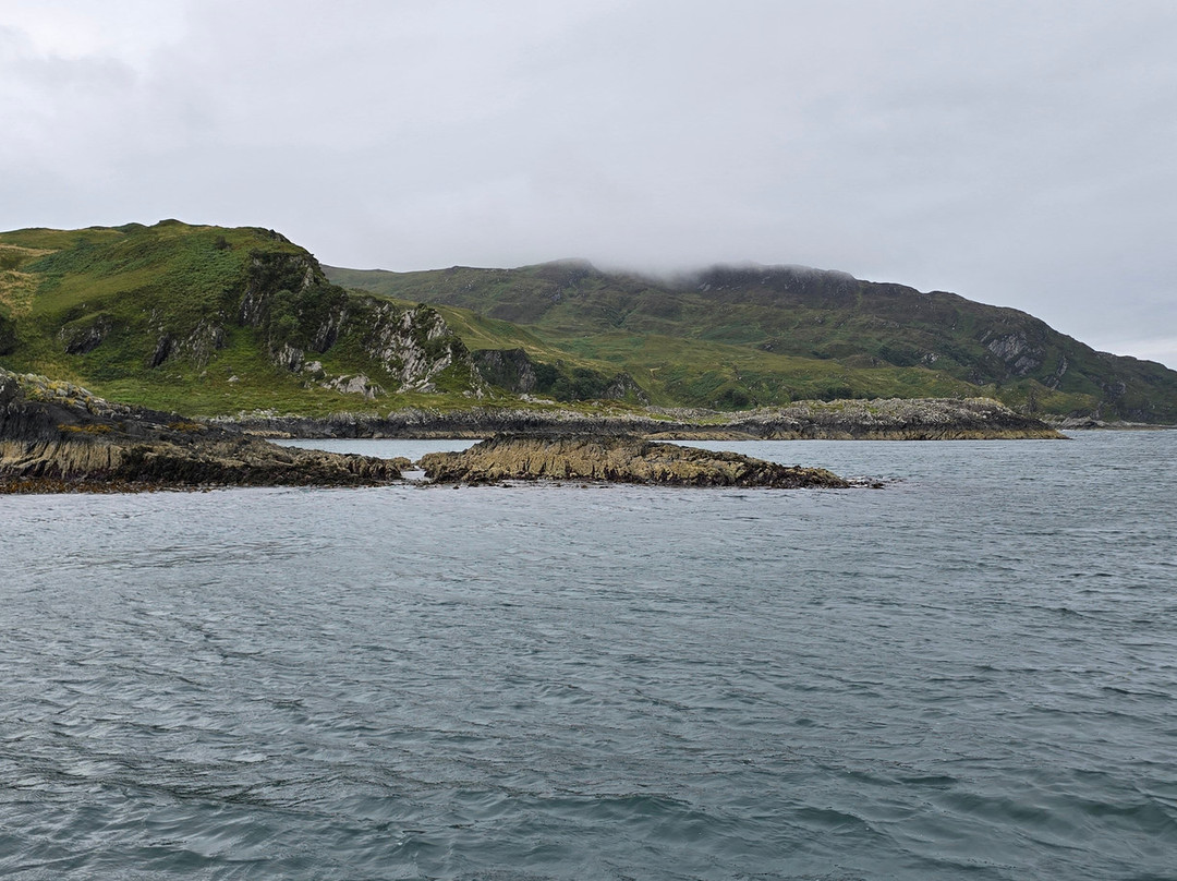 Sealife Adventures-Isle of Seil必去景点