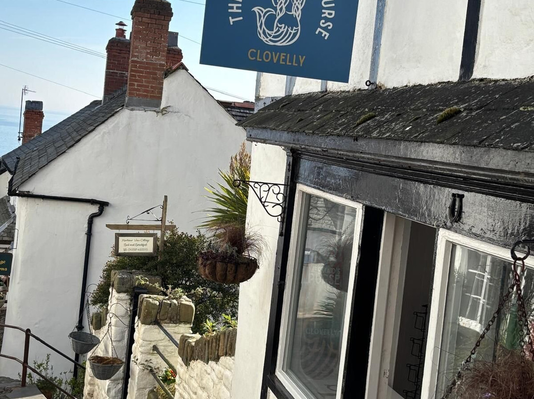 The Mermaid's Purse, Clovelly-Clovelly必去景点