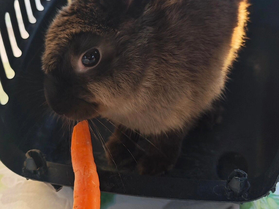 CRETA SAFARI PATHFINDERS-Kournas必去景点