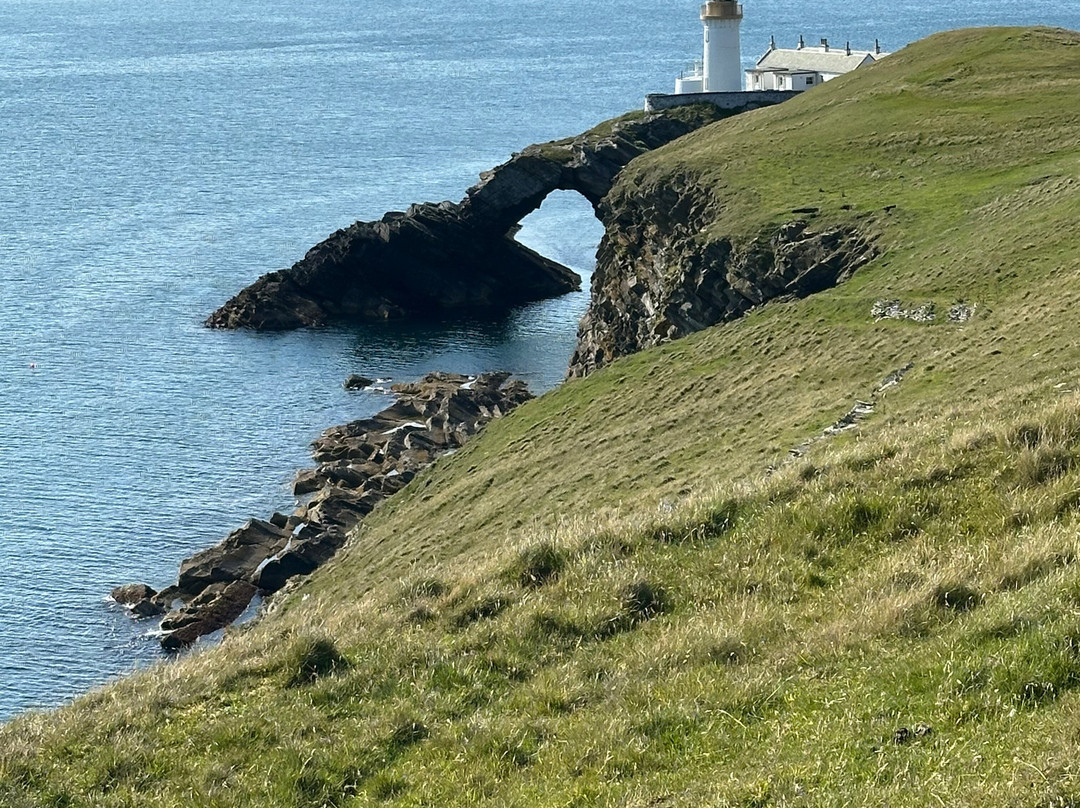 Shetland Wool Adventures-Lerwick必去景点