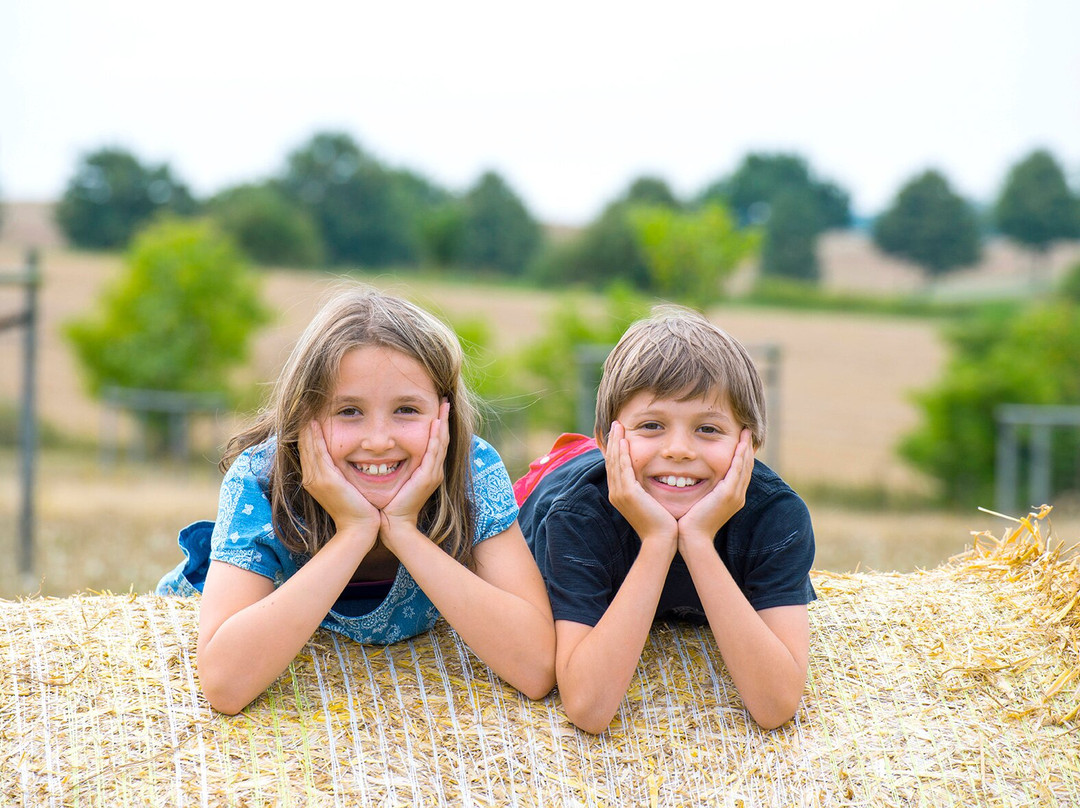 Bauer Korl's Golchener Hof主图