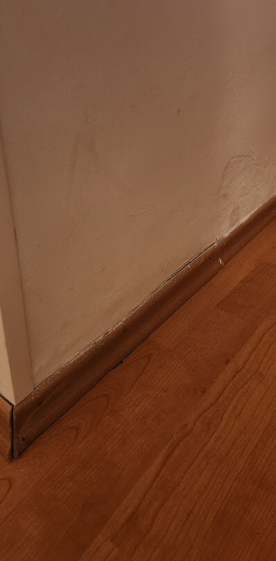 博瑞克酒店主图