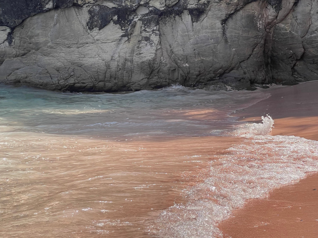 Visit Bajo-Labuan Bajo必去景点