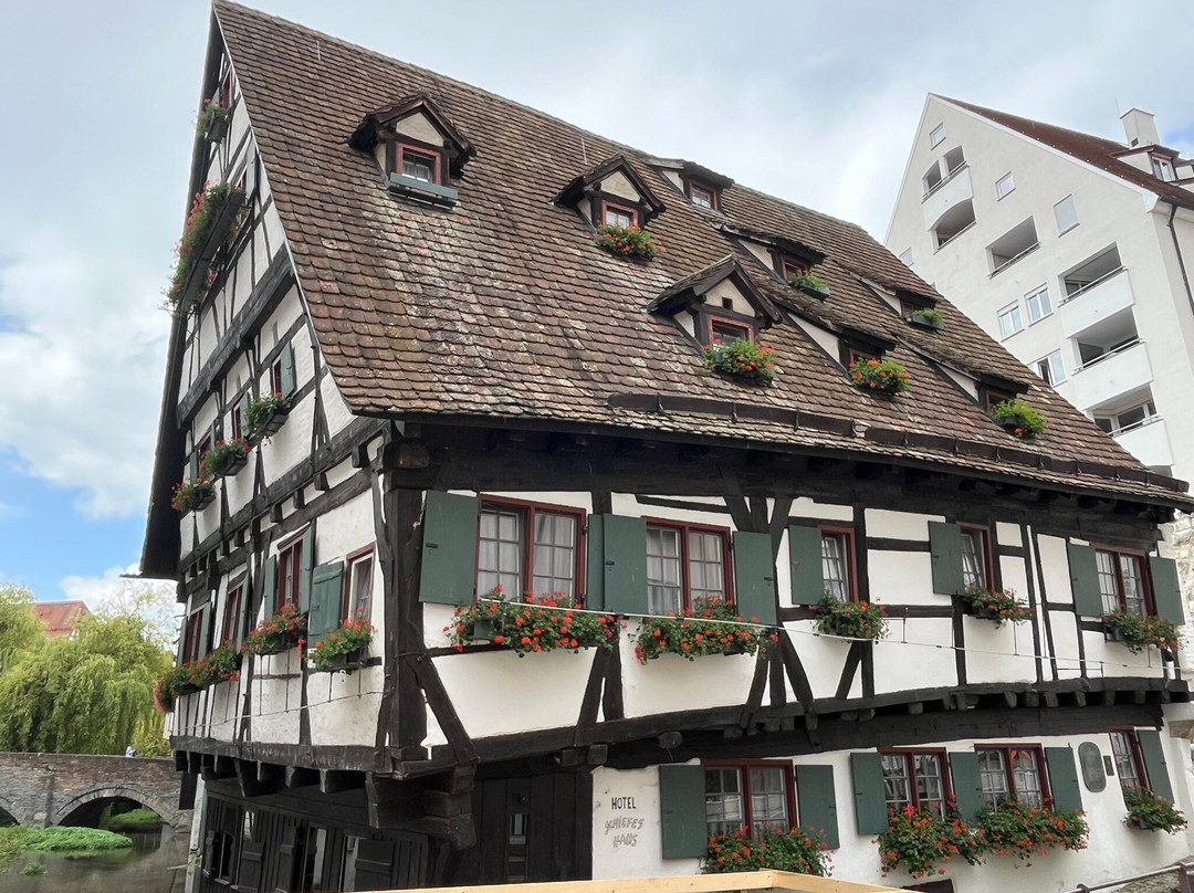 The Leaning House-乌尔姆必去景点