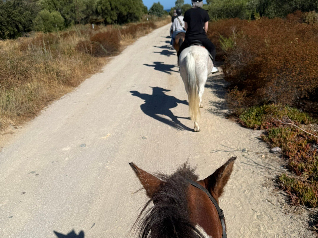 CENTRE ÉQUESTRE DE BALAGNE-Lumio必去景点