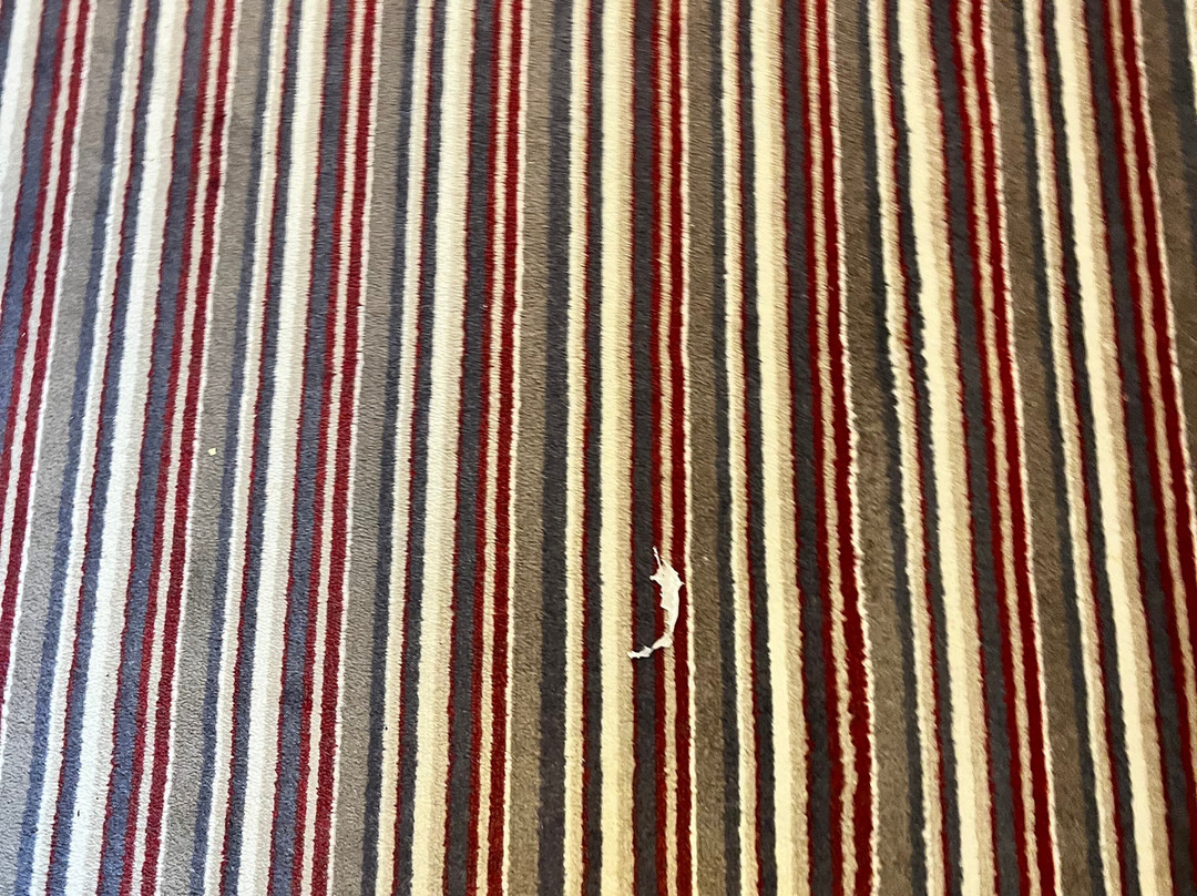 雅诗阁酒店主图