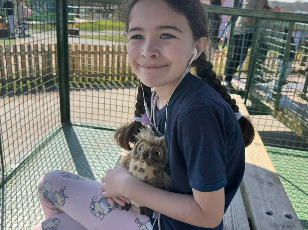 Piglets Adventure Farm-约克必去景点