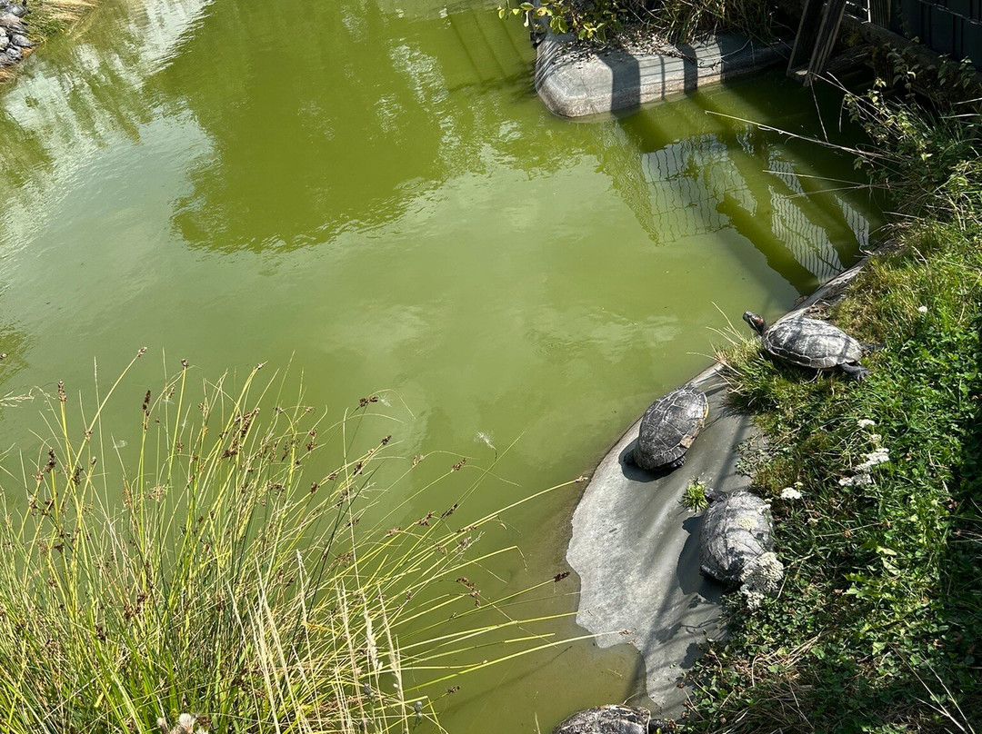 Terrazoo Rheinberg-Rheinberg必去景点