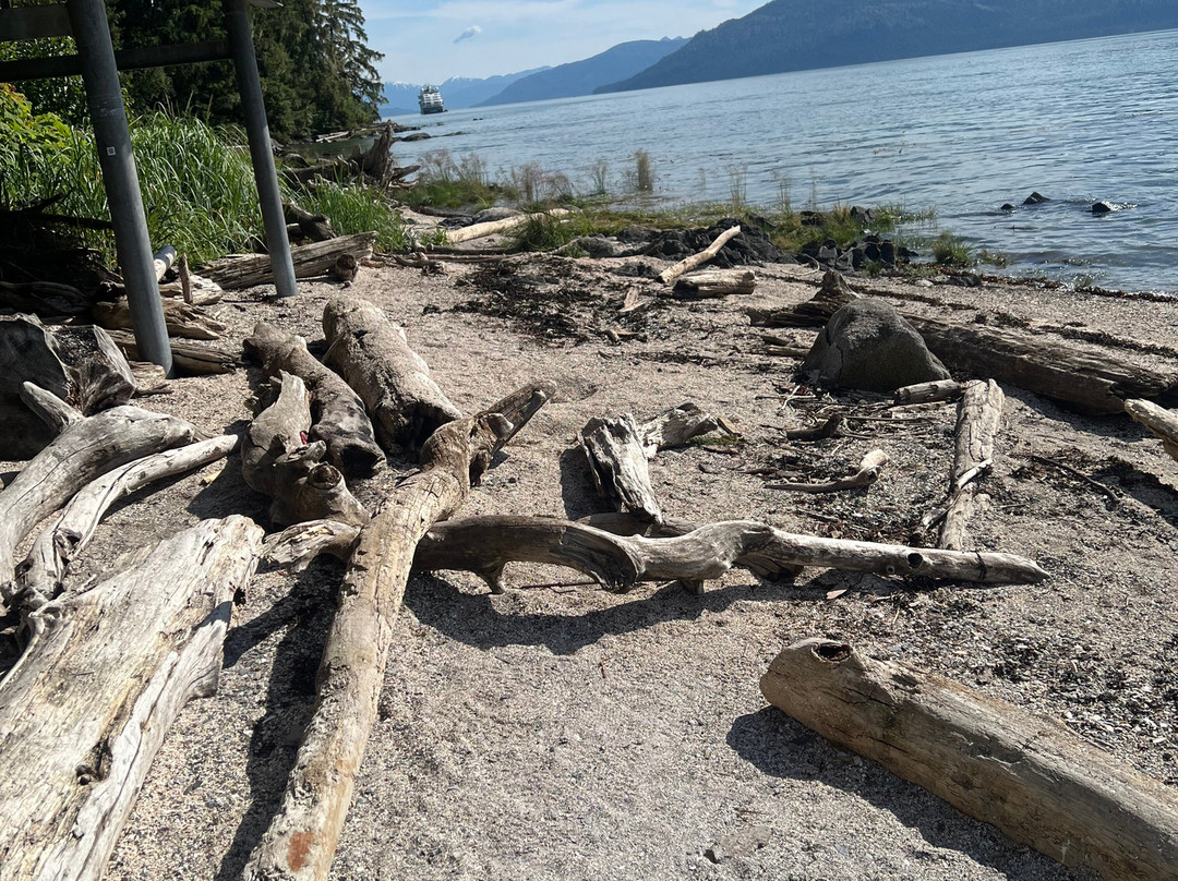 Petroglyph Beach State Historic Site-Wrangell必去景点