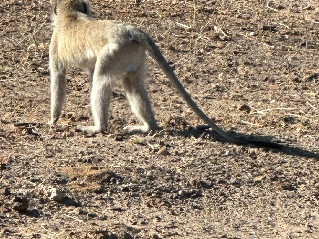 Mosi-oa-Tunya National Park-李文斯顿必去景点