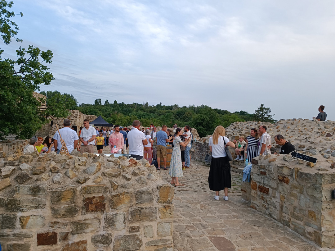 Cetatea de Scaun a Sucevei-Suceava必去景点