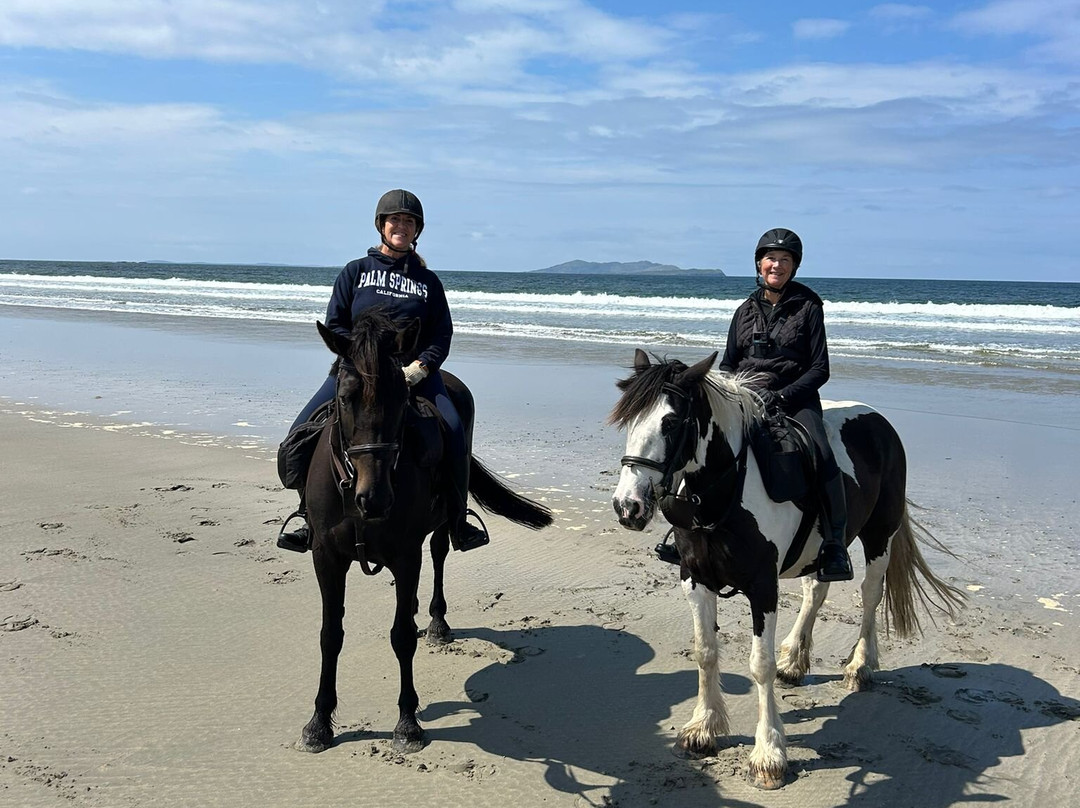 Drummindoo Stud-韦斯特波特必去景点