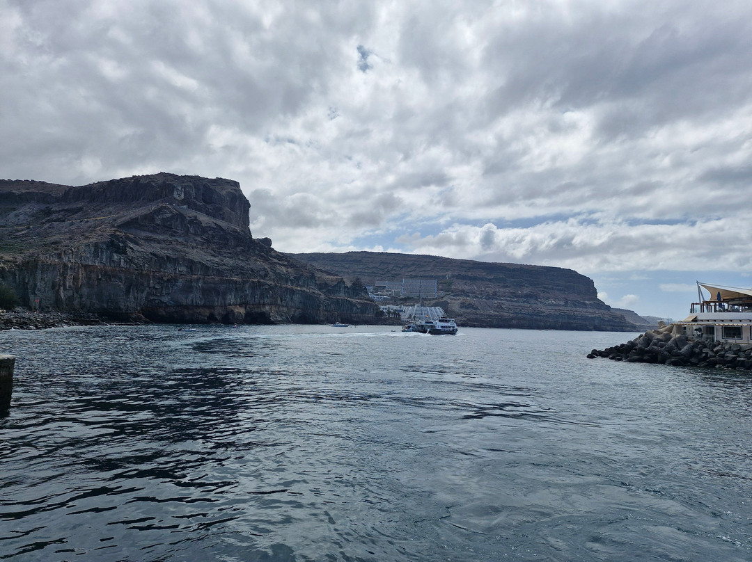 Lineas Blue Bird-莫干山必去景点
