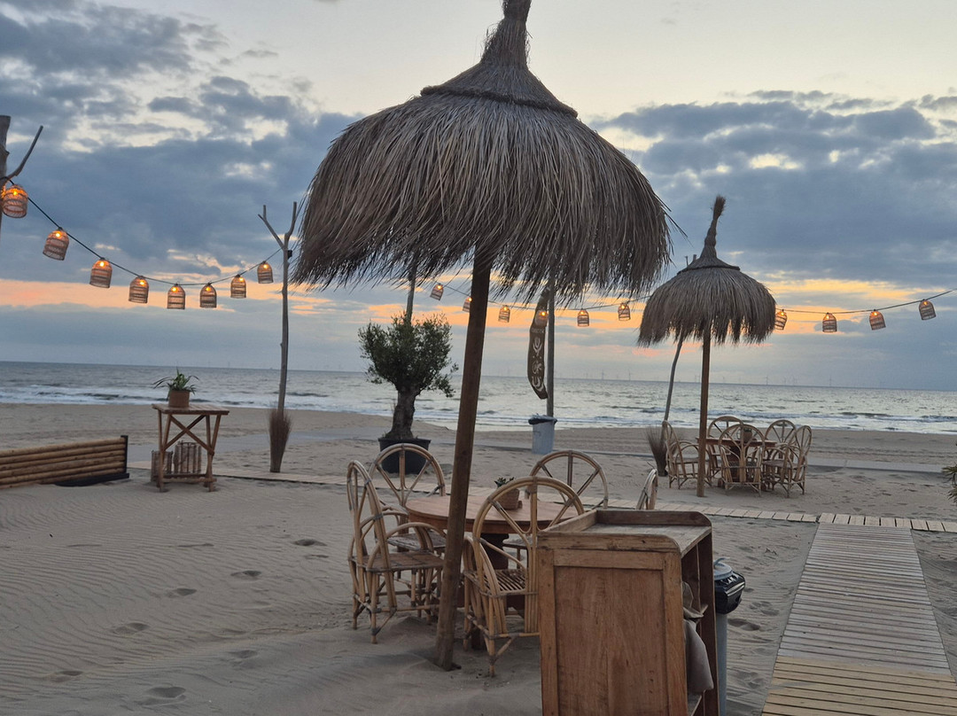 Strand Van Noordwijk-诺德韦克必去景点