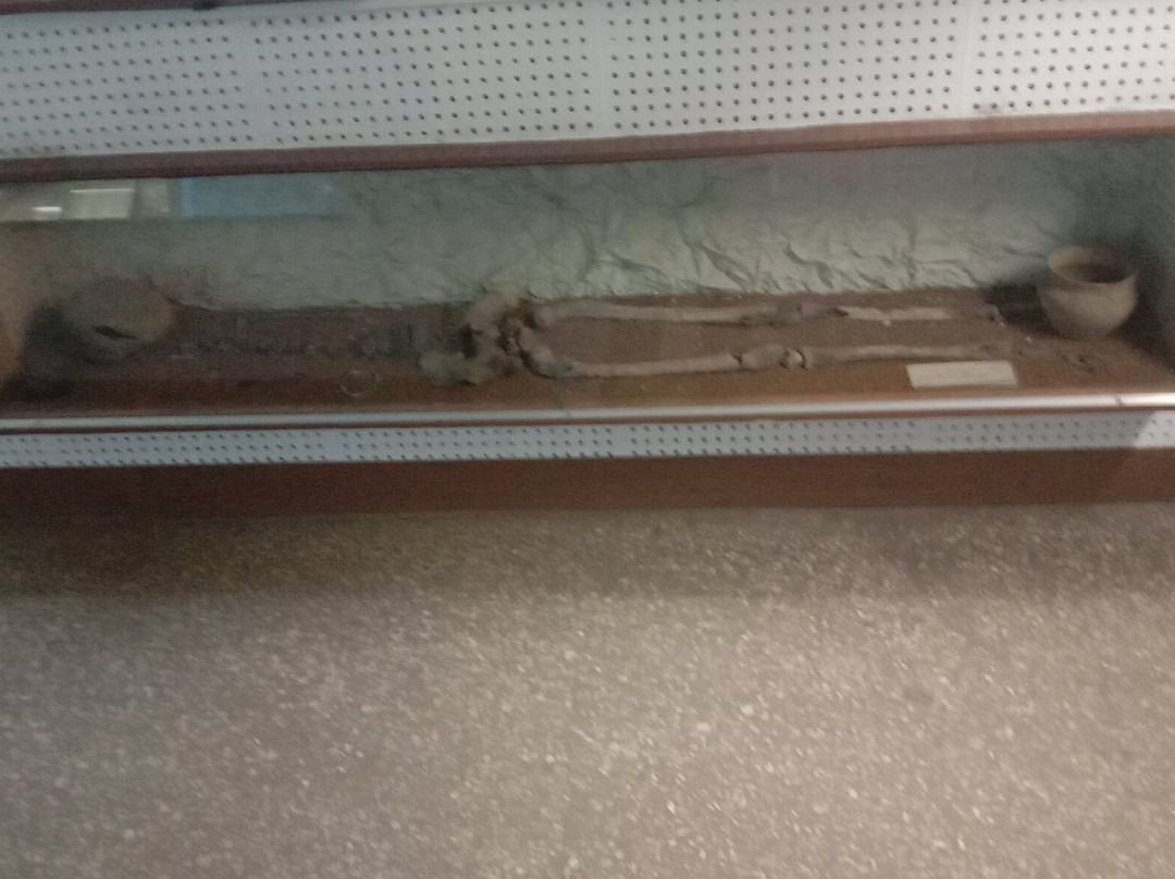 Noginsk Museum and Exhibition Center-Noginsk必去景点