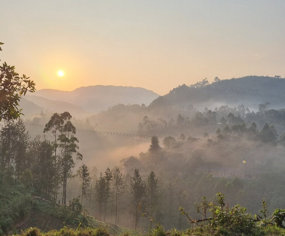 Mukisa Safaris-坎帕拉必去景点