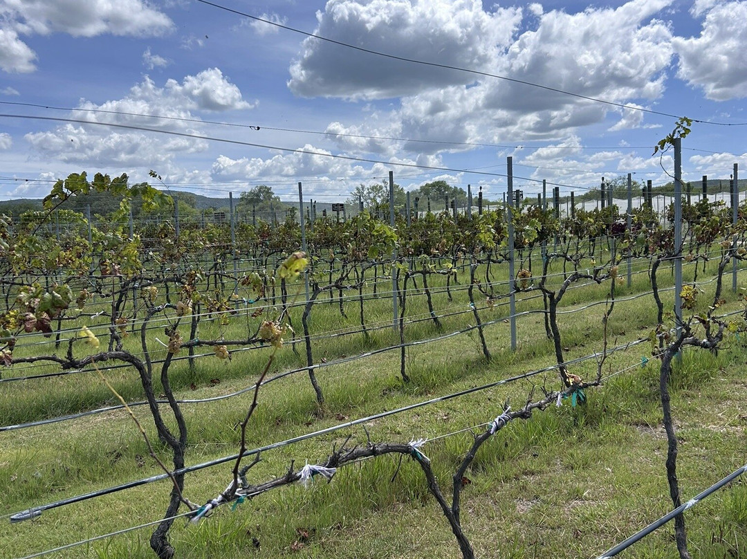 San Juanito-Tequisquiapan必去景点