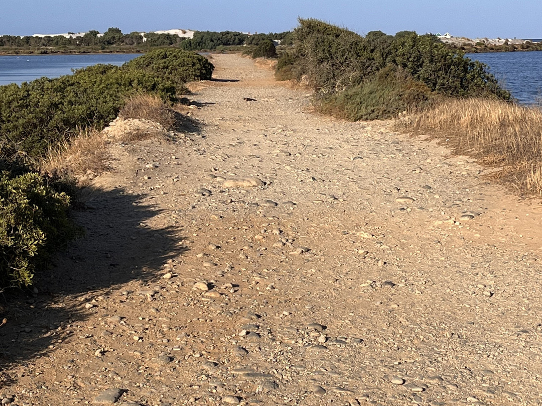 Le Dune Beach-Porto Pino必去景点