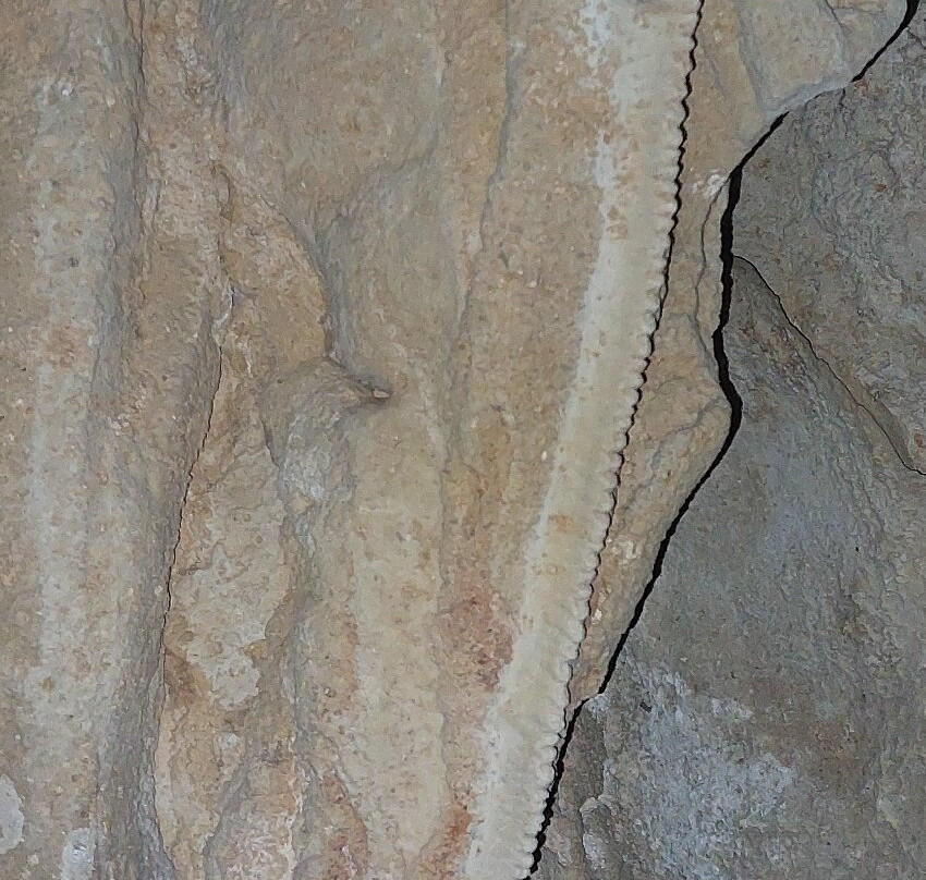 Inhangatu - Experiências ao Ar Livre-Lagoa Santa必去景点