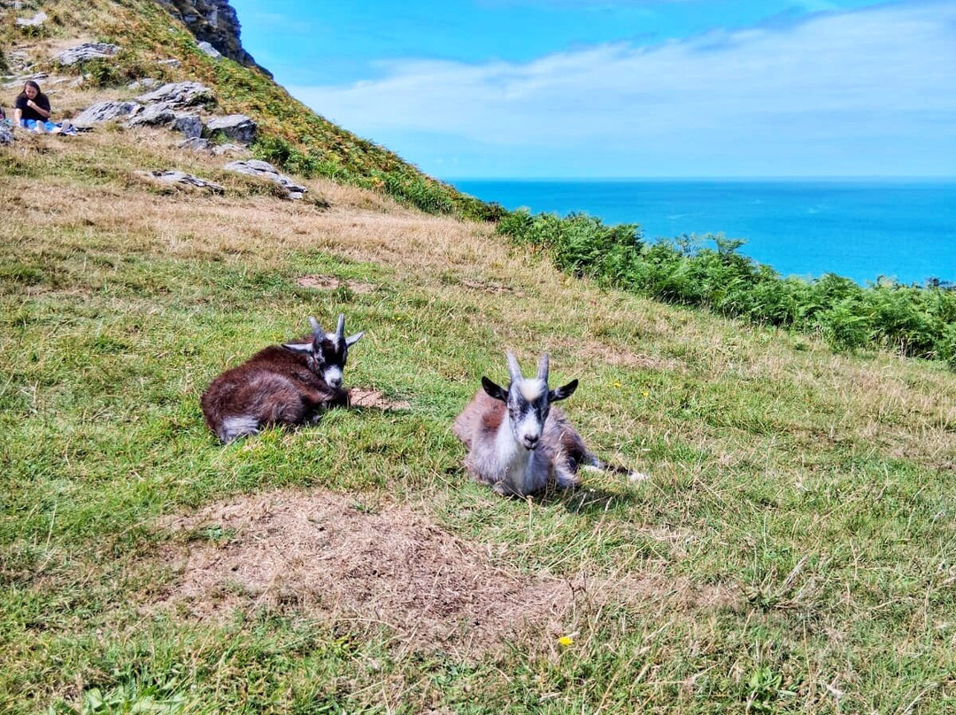 Longmead House主图