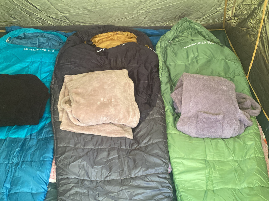 Box End Park-贝德福德必去景点