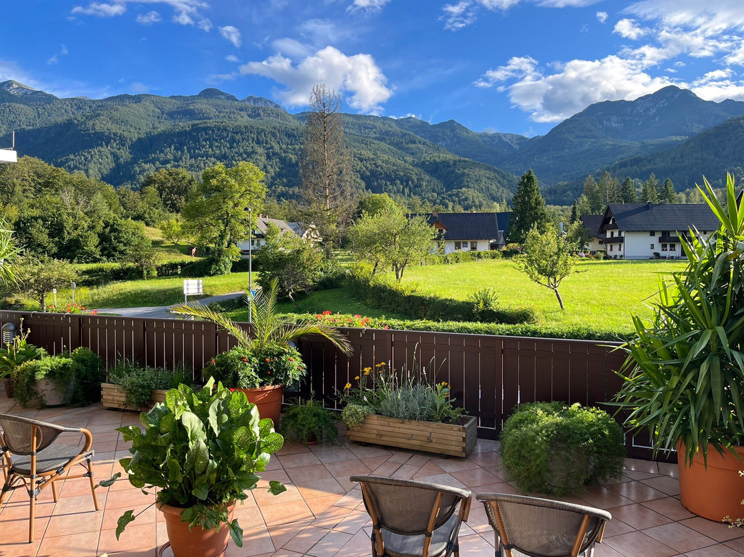 Hotel Gasperin Bohinj主图