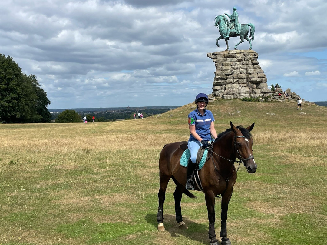 Wayside Stables-Fifield必去景点