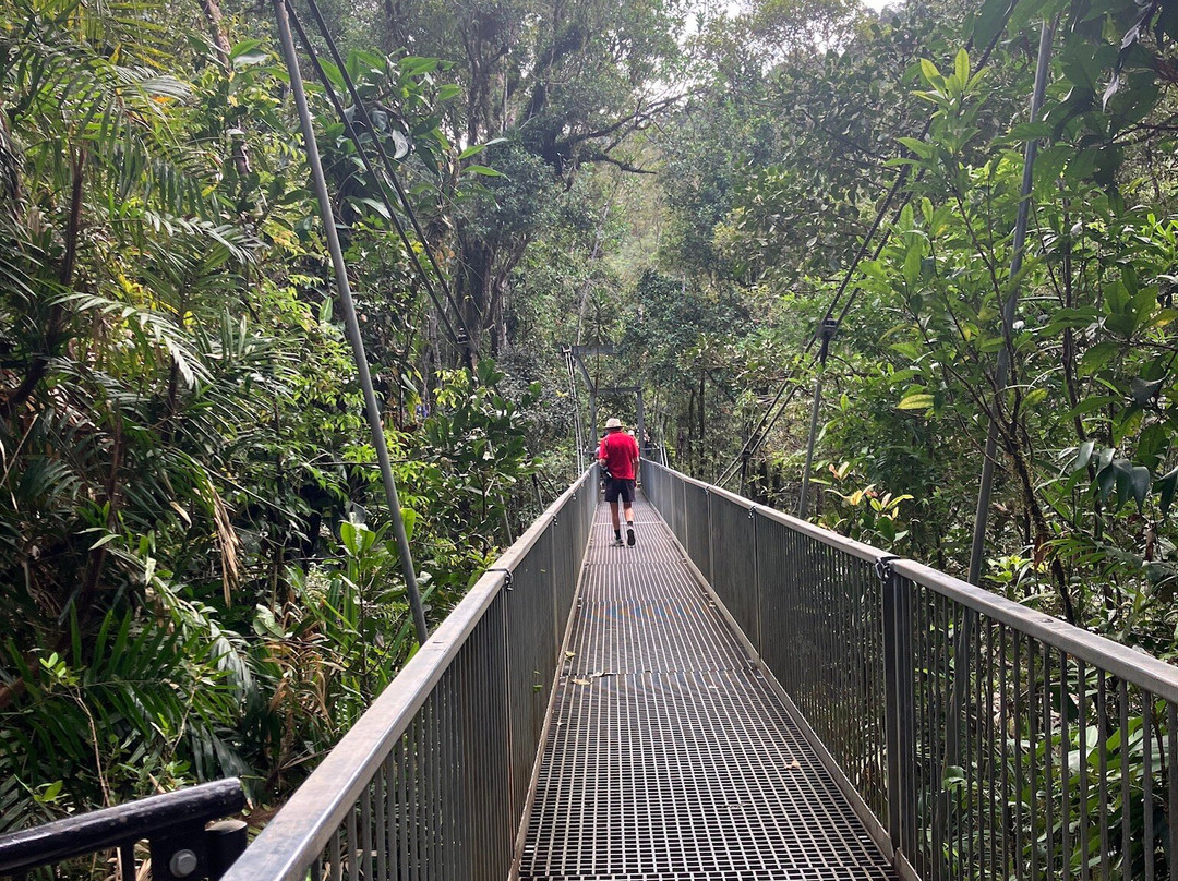 Mossman Gorge-道格拉斯港必去景点