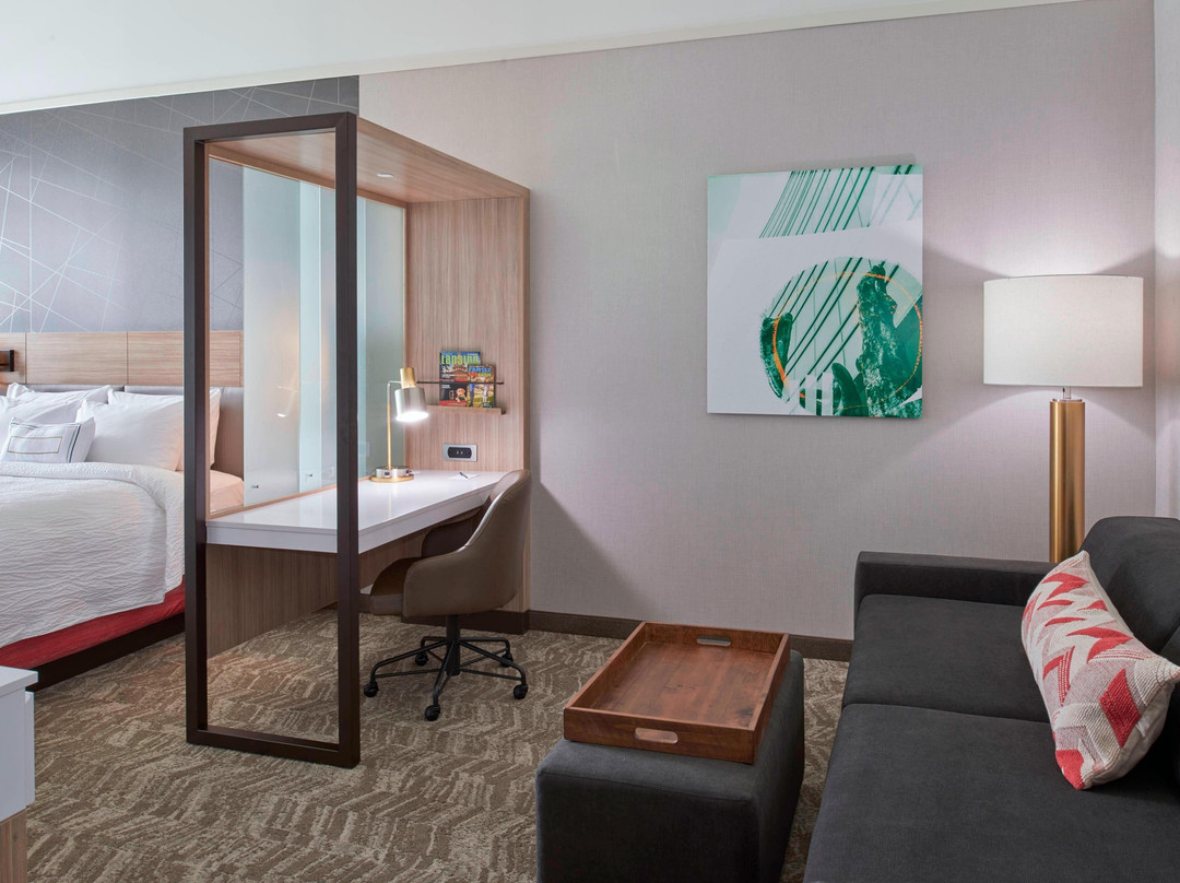 SpringHill Suites by Marriott East Lansing University Area