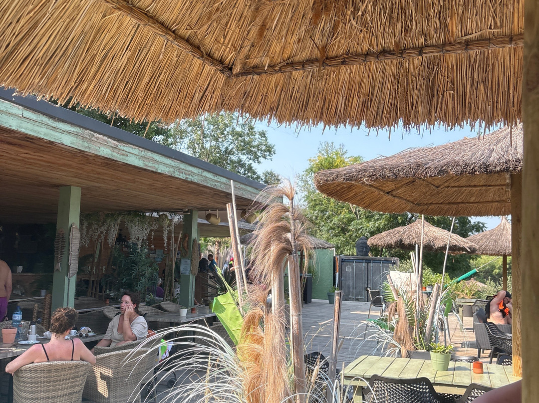 TSJ Wakepark-Saint-Jean-Pla-de-Corts必去景点