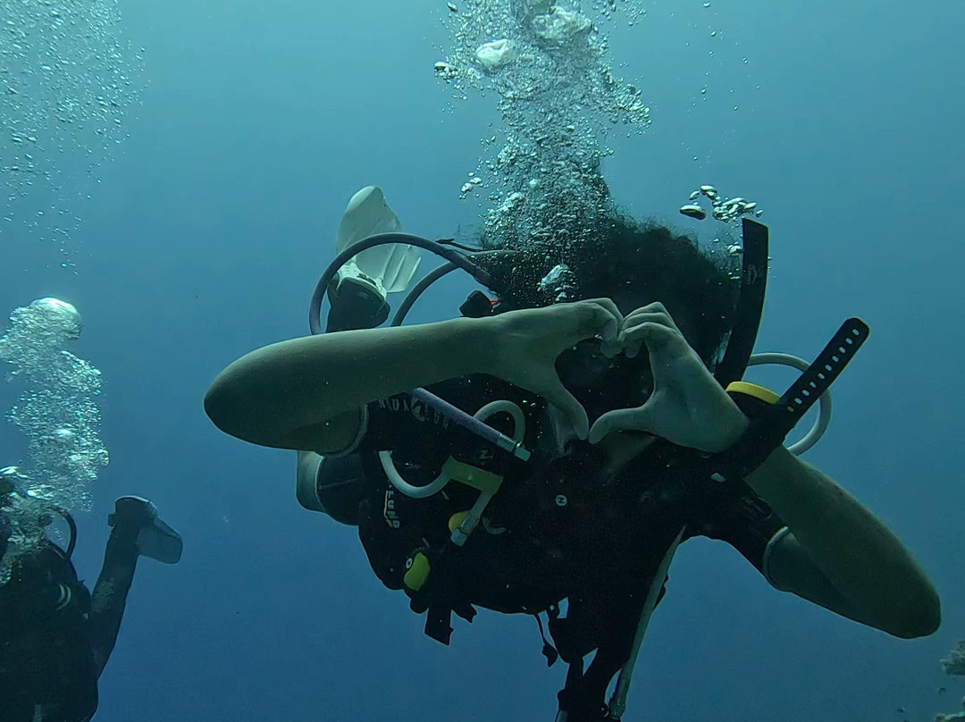 Bedouin Divers Dahab-达哈卜必去景点