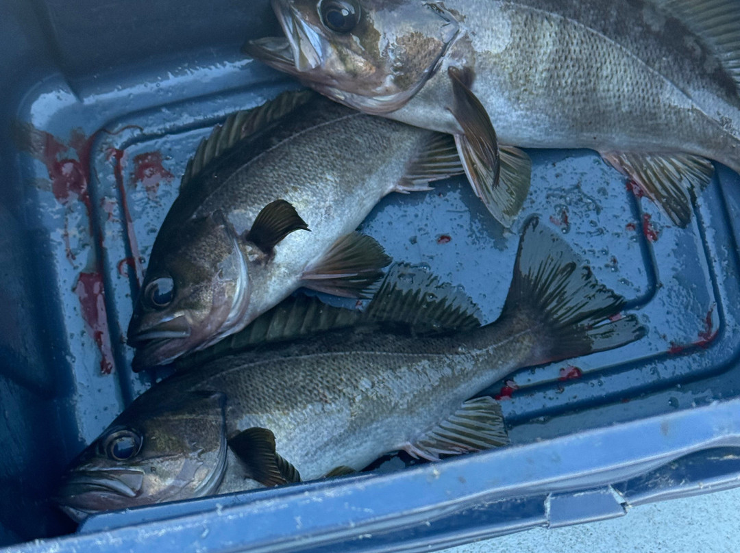 Garibaldi Charters-Garibaldi必去景点