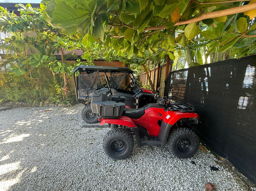 ATV Rentals  Santa Teresa-圣特雷莎必去景点