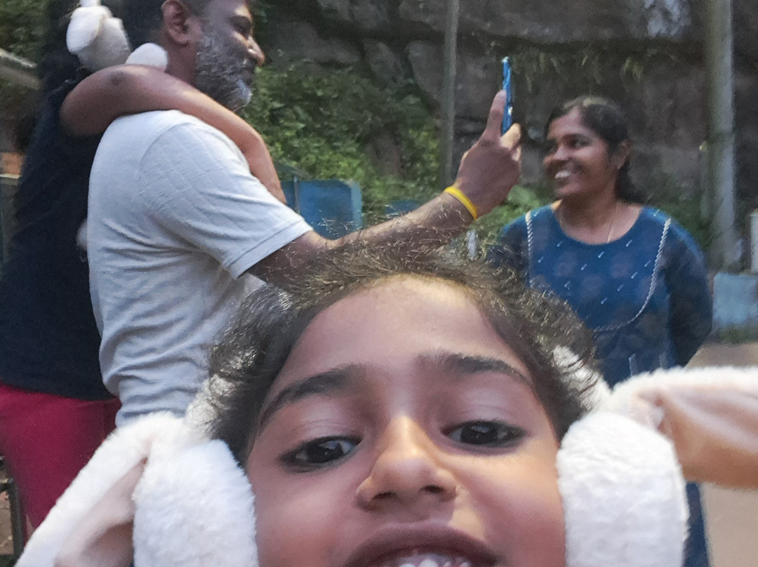 Kodai Sunshine Hotel主图