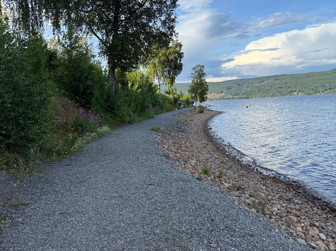 Hurdalsjøen Hotell & Spa主图